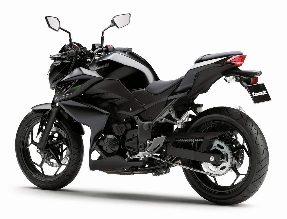 2013 Kawasaki Z 250